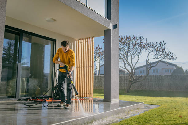 Best Roof Cleaning and Mildew Removal in Dodgeville, WI